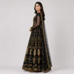 Women embroidered net maxi dress with gold embroidery, full flare, sheer sleeves, and matching net dupatta